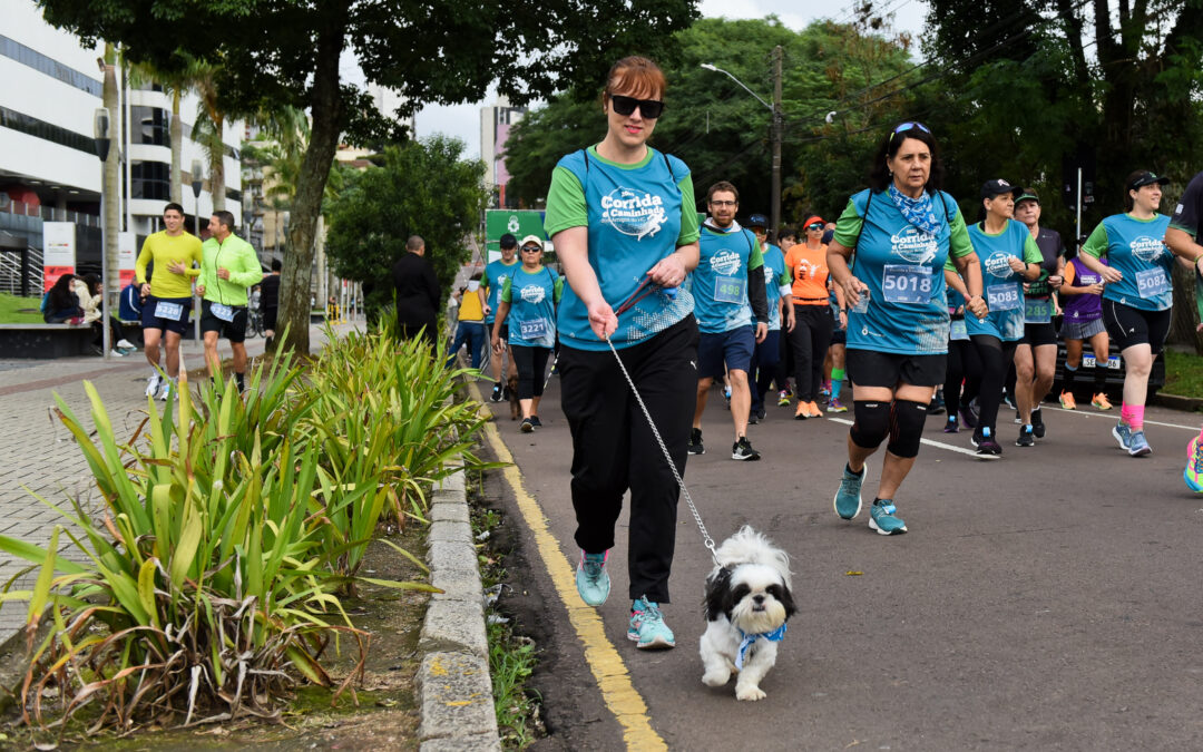 Benefícios da caminhada para cães